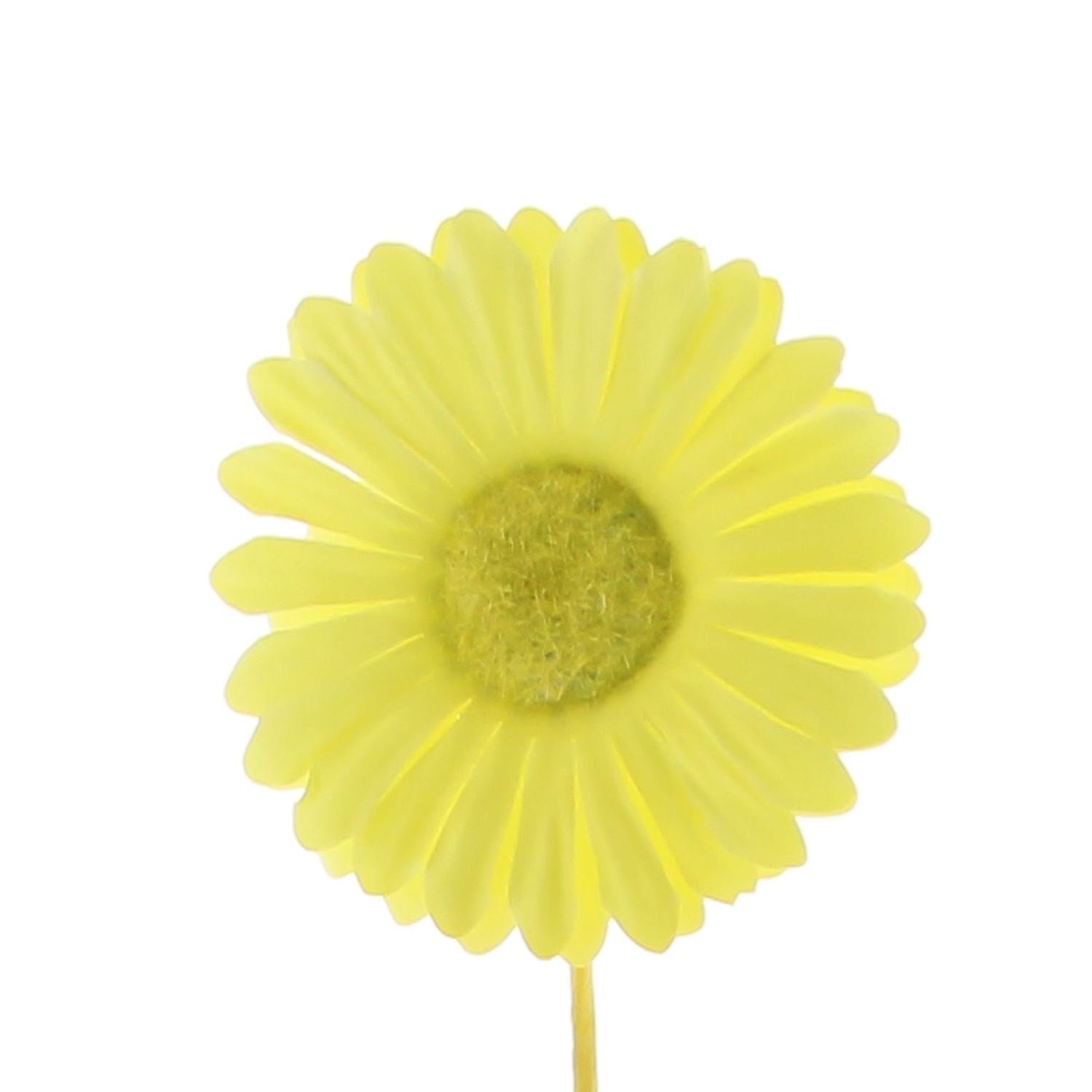 Flower Germini lemon