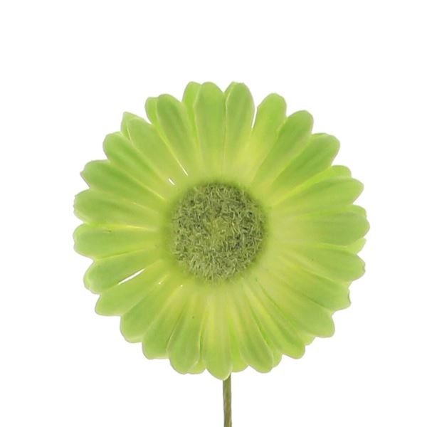 Flower Germini light green