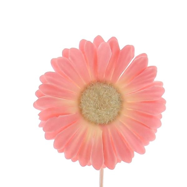 Blume Germini Pink