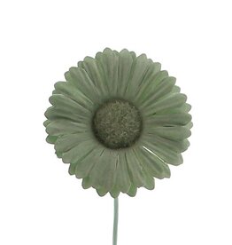 Bloem Germini smokey groen