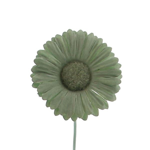 Bloem Germini smokey groen