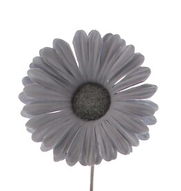 Blume Germini  Lavendelgrau