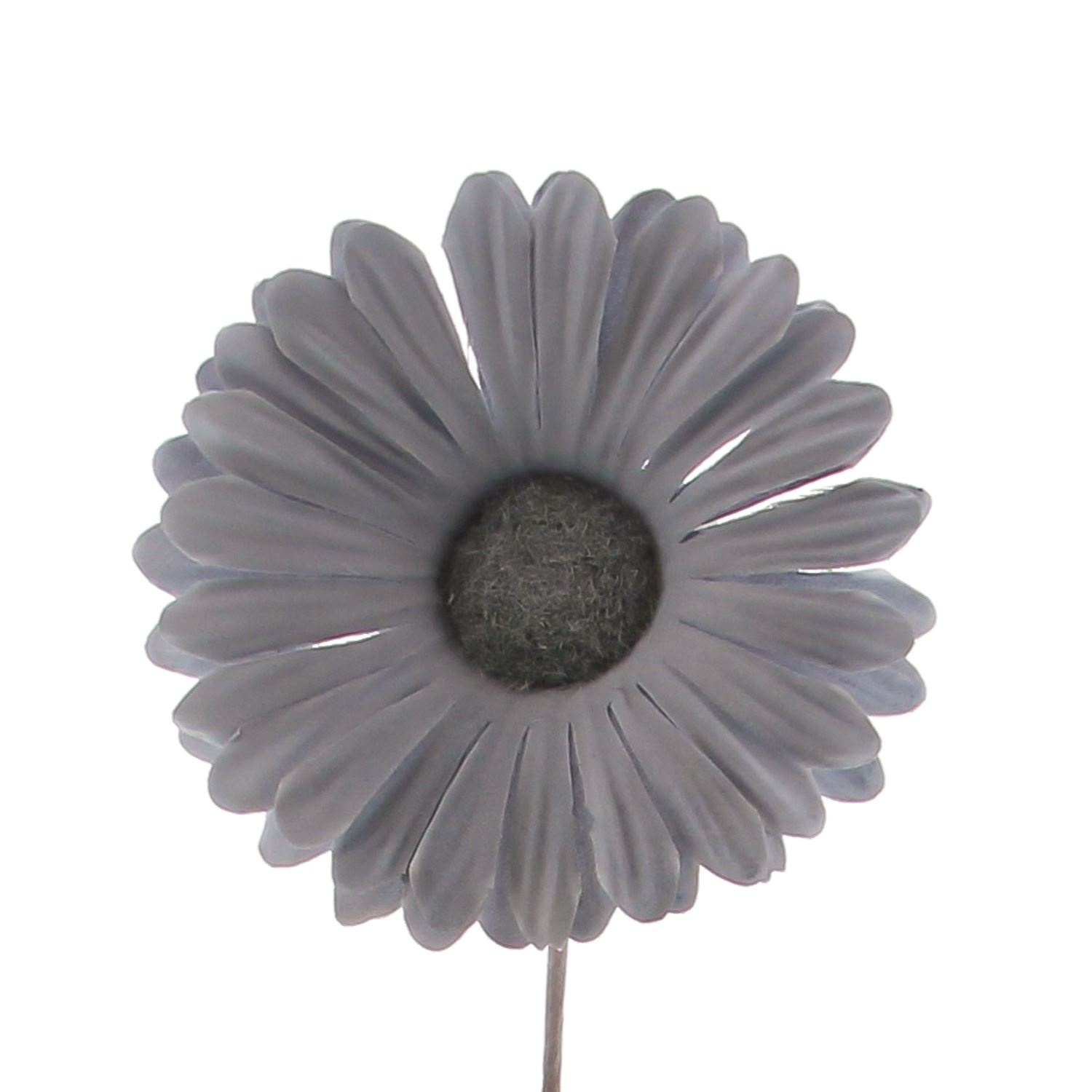 Blume Germini Lavendelgrau