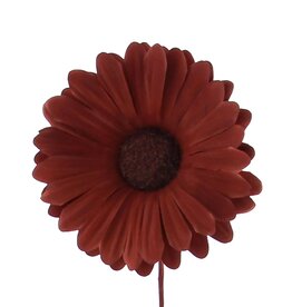 Bloem Germini  bruin