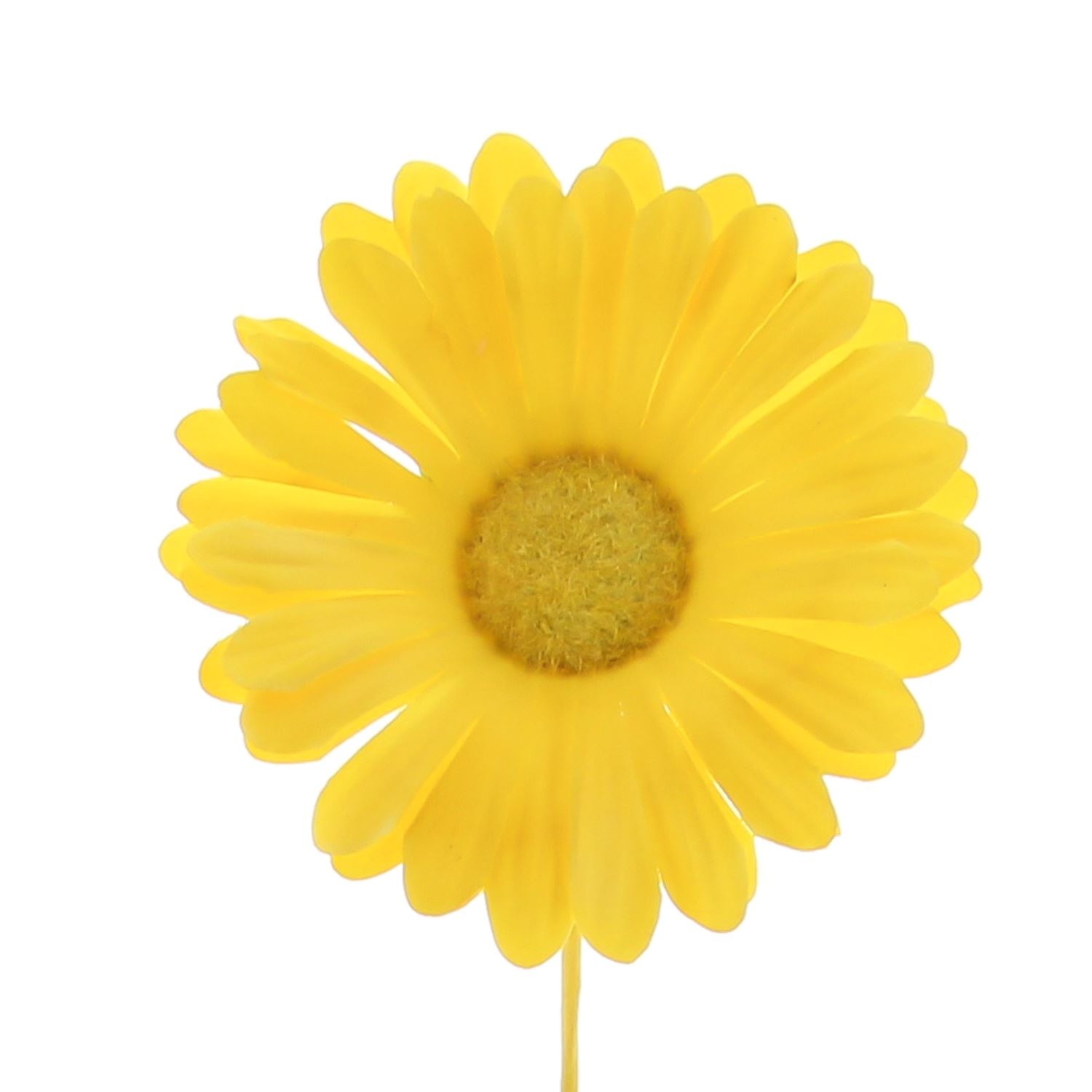 Flower Germini