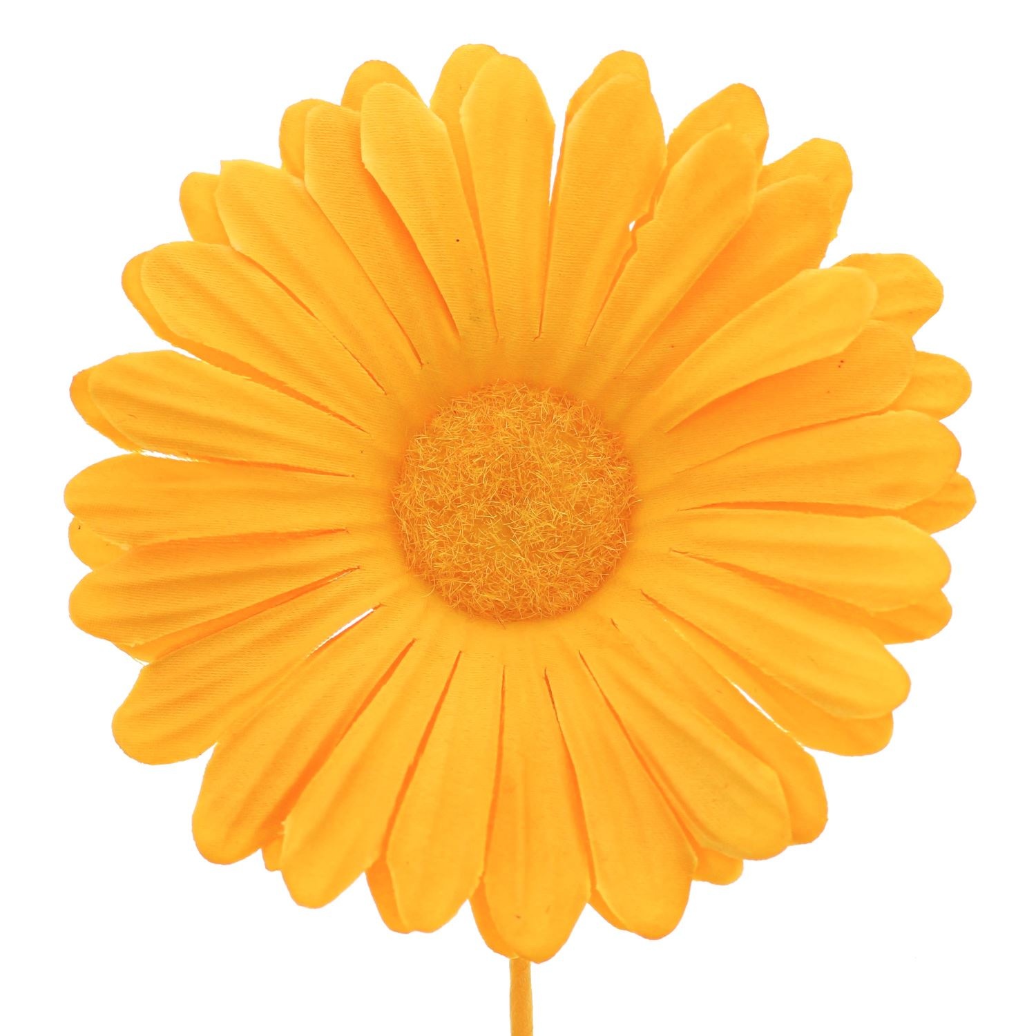 Flower Germini