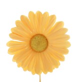 Flower Germini
