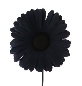 Flower Germini  black