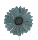 Bloem Germini cloud blue