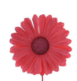 Fleur Germini  fuchsia