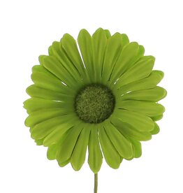 Flower Germini ( green shades)