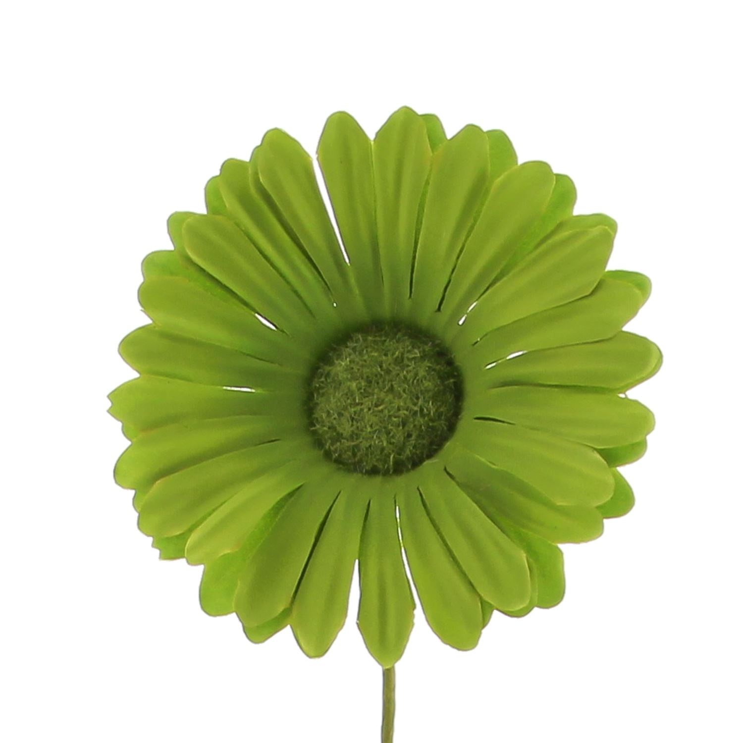 Flower Germini ( green shades)