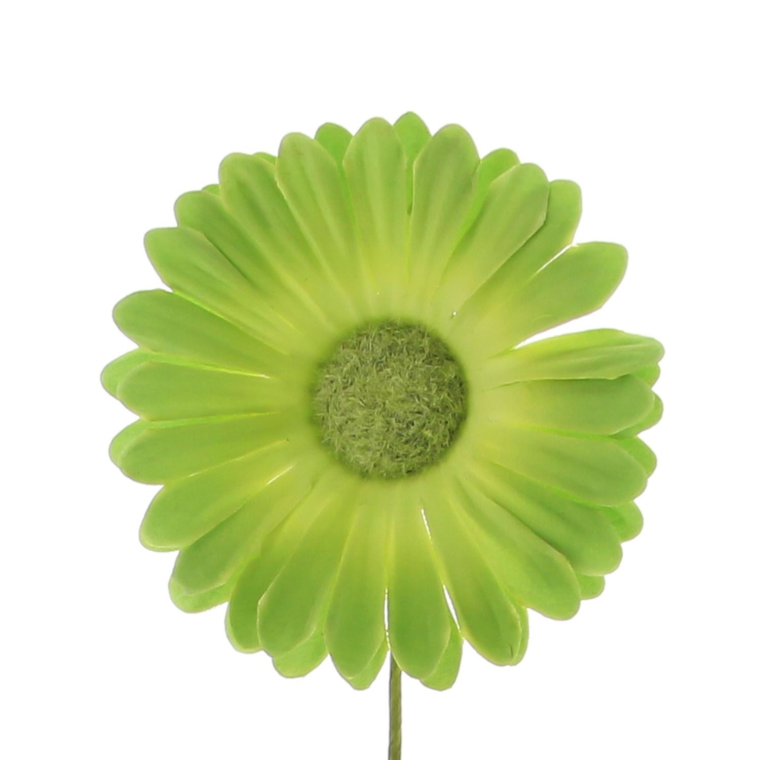 Flower Germini ( green shades)