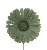 Bloem Germini ( groene tinten)