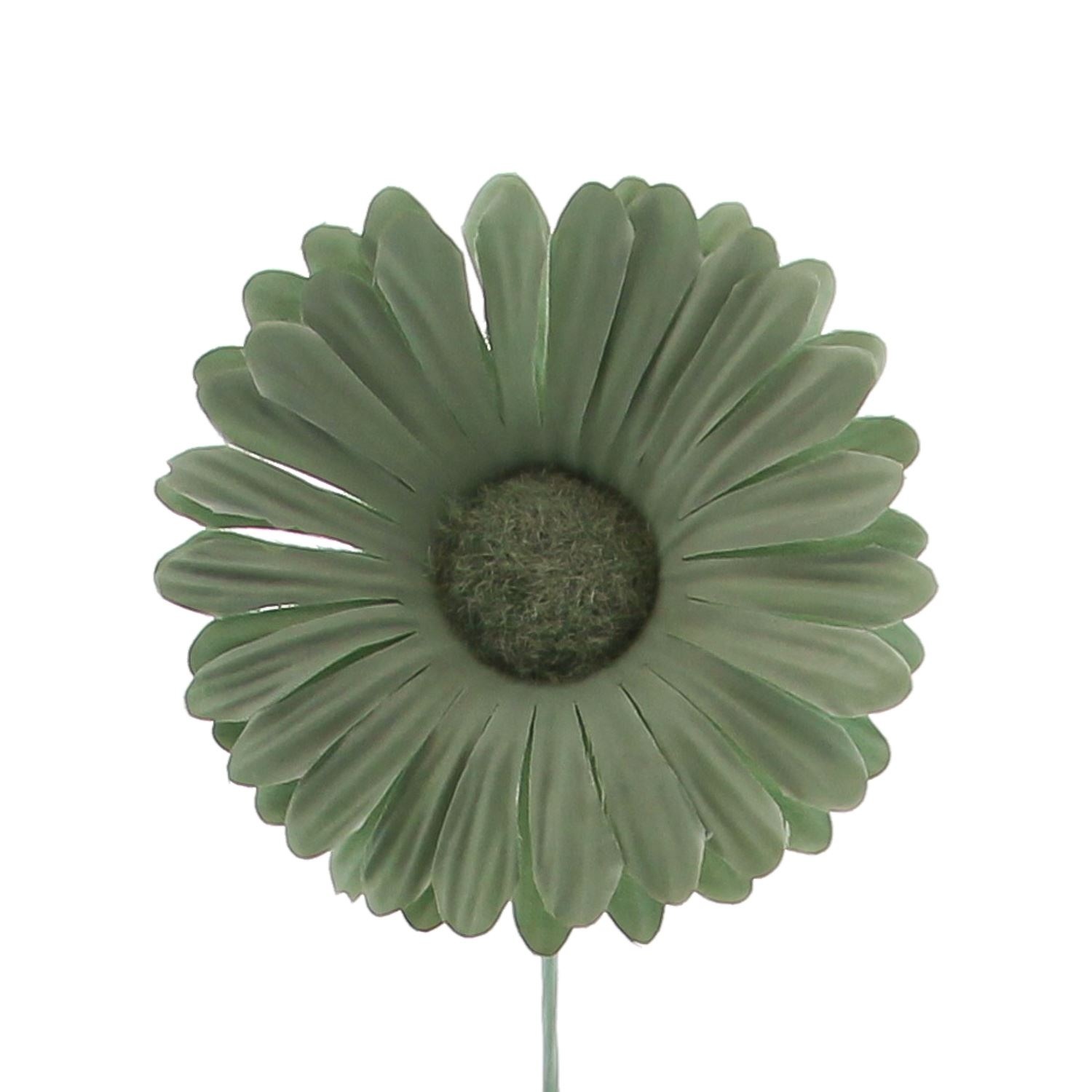 Flower Germini ( green shades)