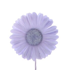 Bloem Germini lavendel
