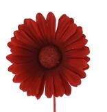 Bloem Germini rood