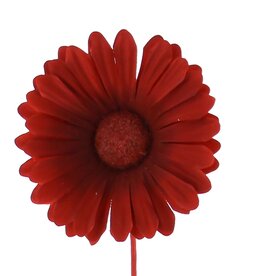 Bloem Germini  rood