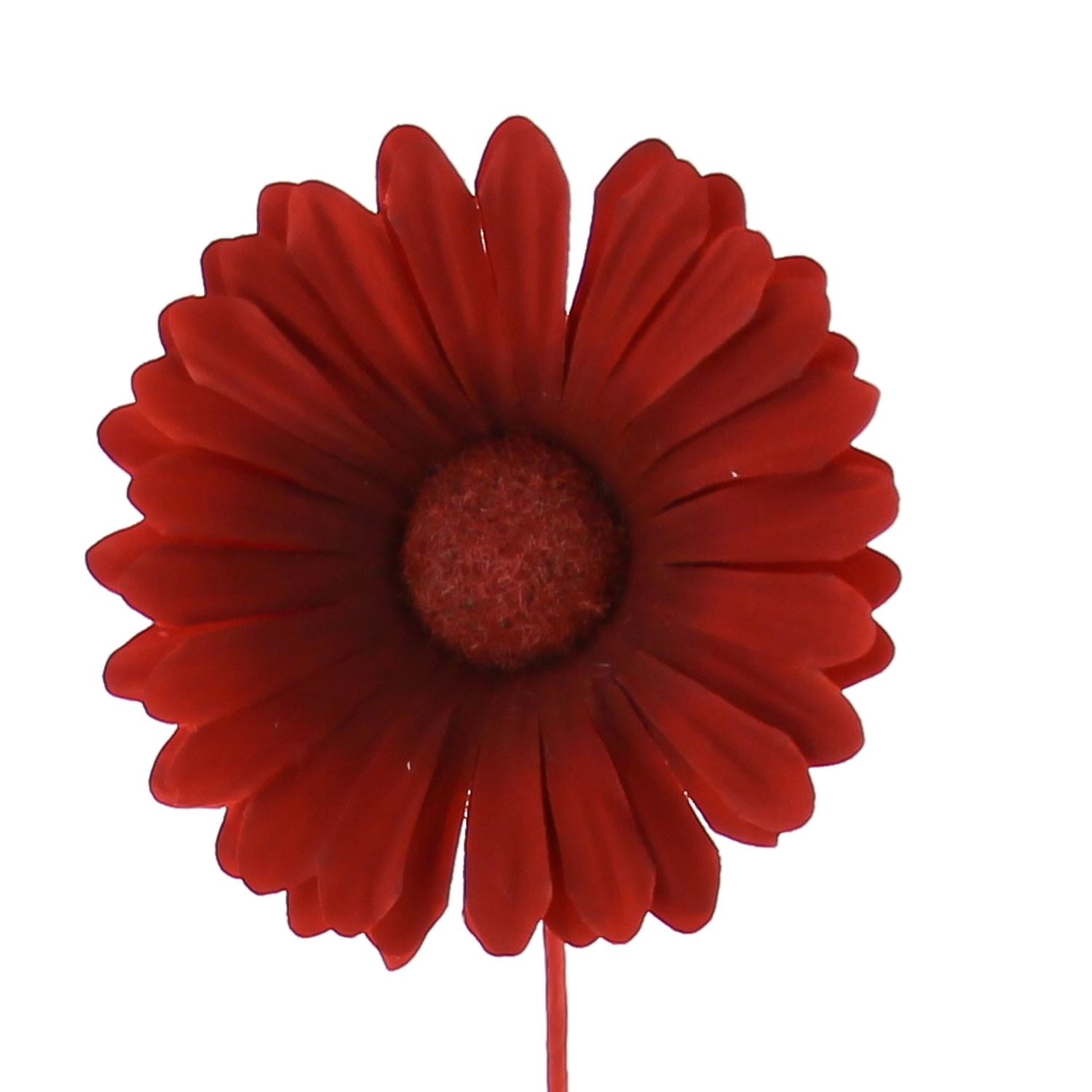 Bloem Germini rood