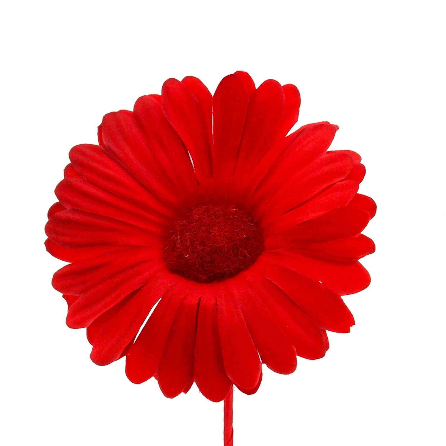Bloem Germini rood