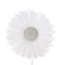 Flower Germini white