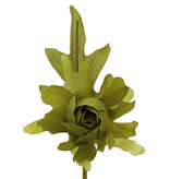 Camellia with a stem of 7 cm.