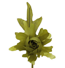 Camellia with a stem of 7 cm.