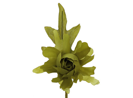 Camellia with a stem of 7 cm.