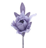 Camélia avec une tige de 7 cm.