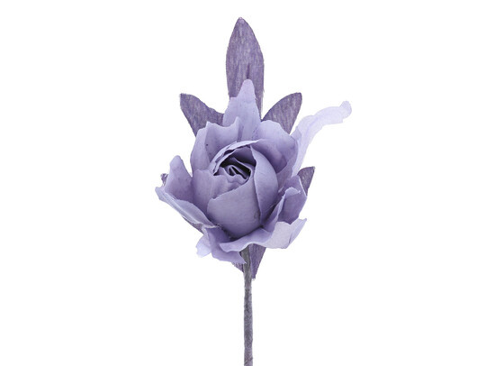 Camélia avec une tige de 7 cm.