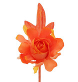 Camellia with a stem of 7 cm.