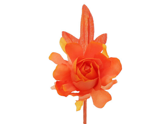 Camelia met een steeltje van 7 cm.