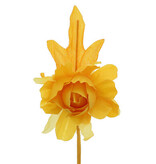 Camellia with a stem of 7 cm.