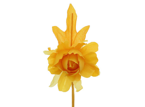 Camélia avec une tige de 7 cm.