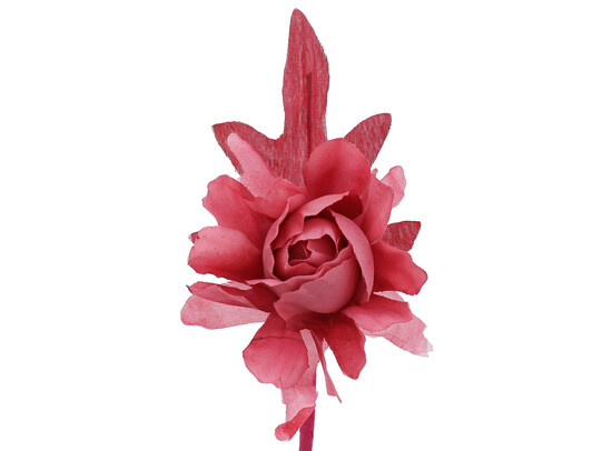 Camellia with a stem of 7 cm.