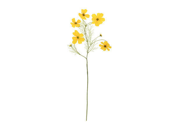 "Cosmos"-Zweig, 75 cm, gelb