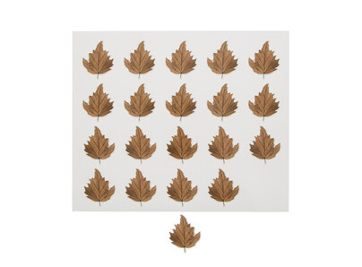 Sticker shiny "Mushroom mix" leaf