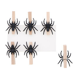 Mini araignée noire sur pince à linge