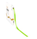 Bel Satin lint 10mm - Spring Green