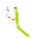 Bel Satin lint 25mm - Spring Green