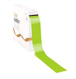 Bel Satin Band 40mm - Spring Green