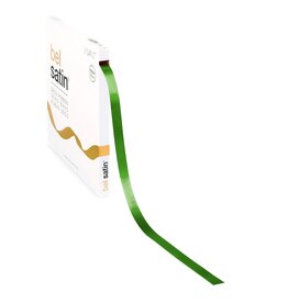 Bel Satin Band 10mm - Apple Green