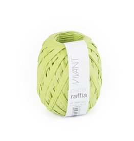 Paper Raffia - Spring Green - 6 bobines