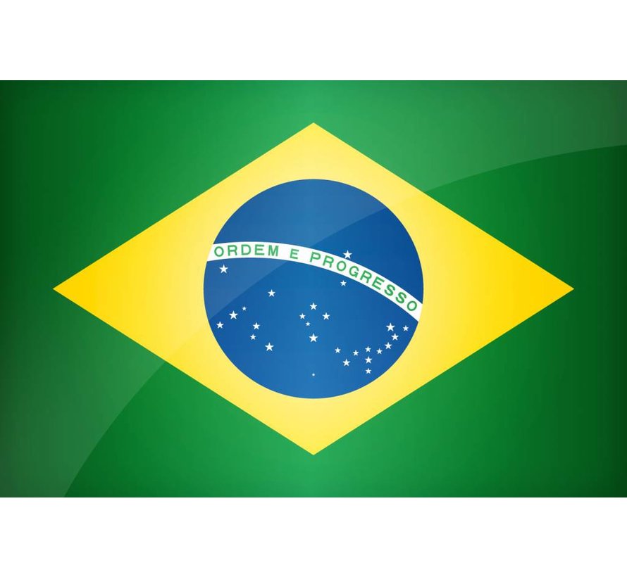 Instant Braziliaans Portugees voor Beginners