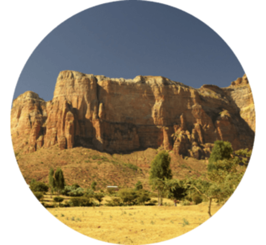 Leer de Tigrinya taal - Online taalcursus