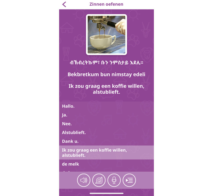 Leer de Tigrinya taal - Online taalcursus