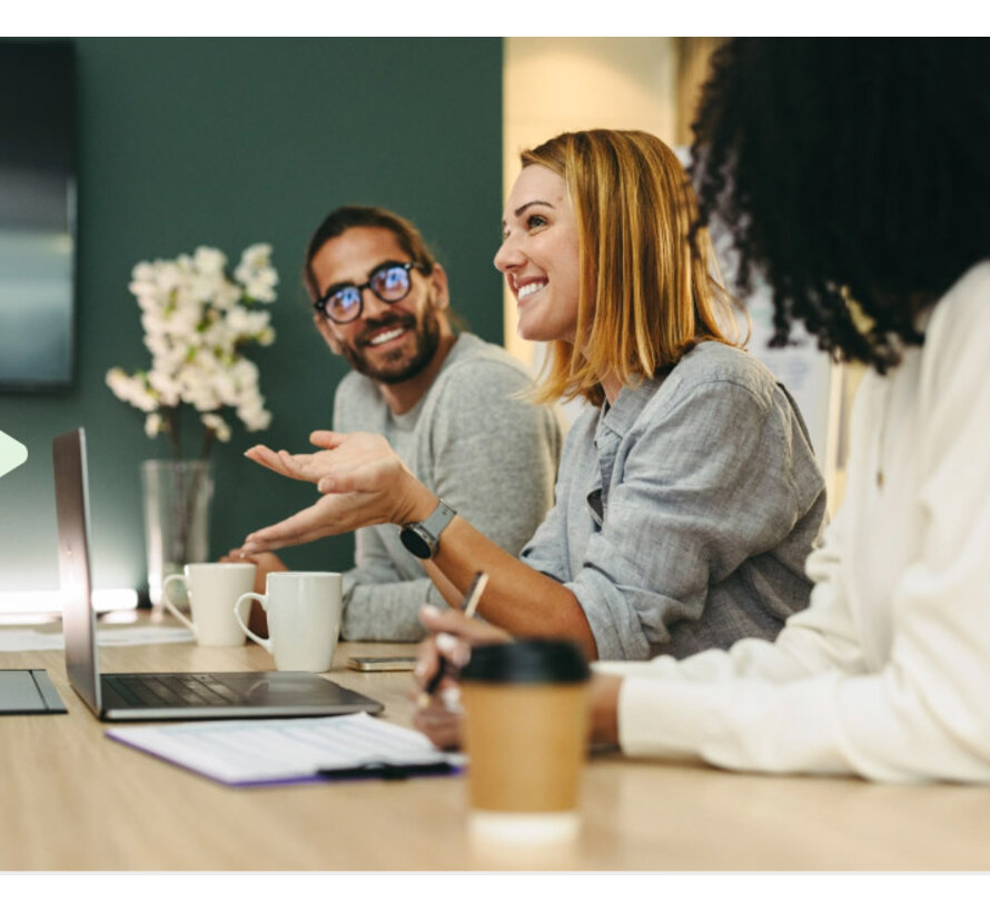 Vasco Translator E1 - Vertaal Oordopjes - Translation Earbuds