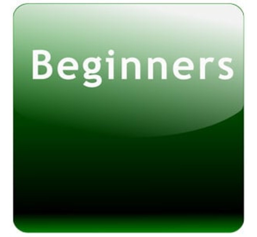 Leer Spaans in 3 maanden - De complete basis cursus Spaans
