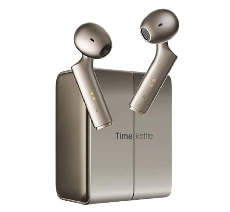 Timekettle W4 - Vertaal Oordopjes - AI Translation Earbuds