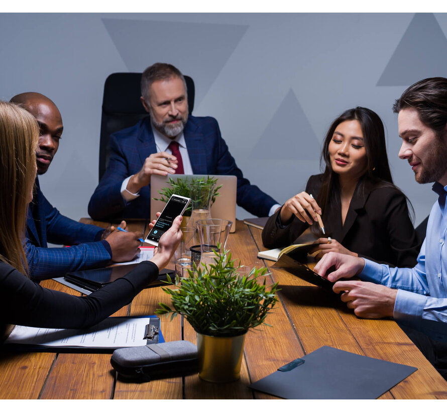 Vasco Translator V4 - Business edition - Voor bedrijven en instanties